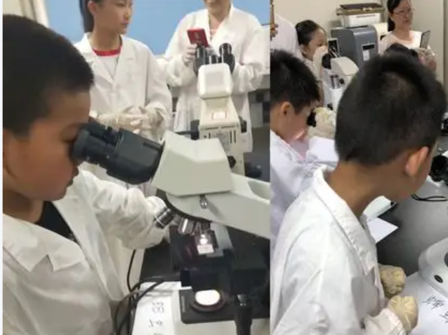 当中的讲堂经过光纤直达讲堂当名师在“专递讲堂”上为乡村孩子答疑 当中的讲堂经过光纤直达讲堂当名师在“专递讲堂”上为乡村孩子答疑